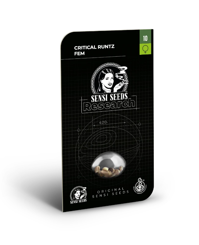 Critical Runtz Feminized (Research) – Produktbild des Herstellers