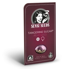 Tangerine Sugar Feminized (Sensi Seeds) – Herstellerverpackung