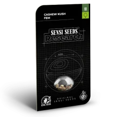 Cashew Kush Feminized (Research) – Herstellerverpackung