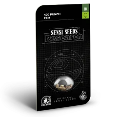 420 Punch Feminized (Research) – Herstellerverpackung