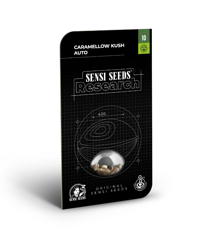 Caramellow Kush Automatic (Research) – Produktbild des Herstellers