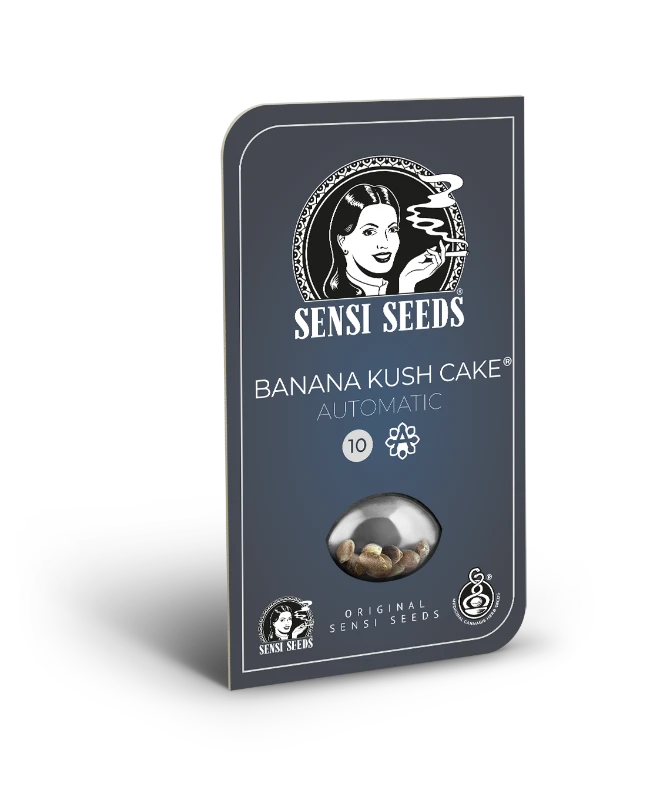 Banana Kush Cake Automatic (Sensi Seeds) – Produktbild des Herstellers