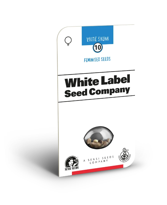 White Skunk Feminized (White Label) – Produktbild des Herstellers