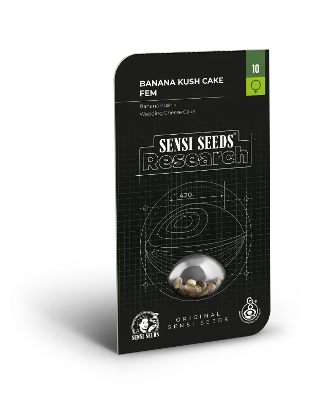 Banana Kush Cake Feminized (Research) – Produktbild des Herstellers