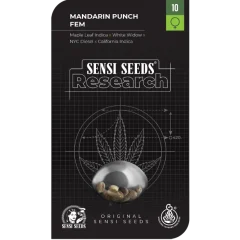 Mandarin Punch Feminized (Research) – Herstellerverpackung