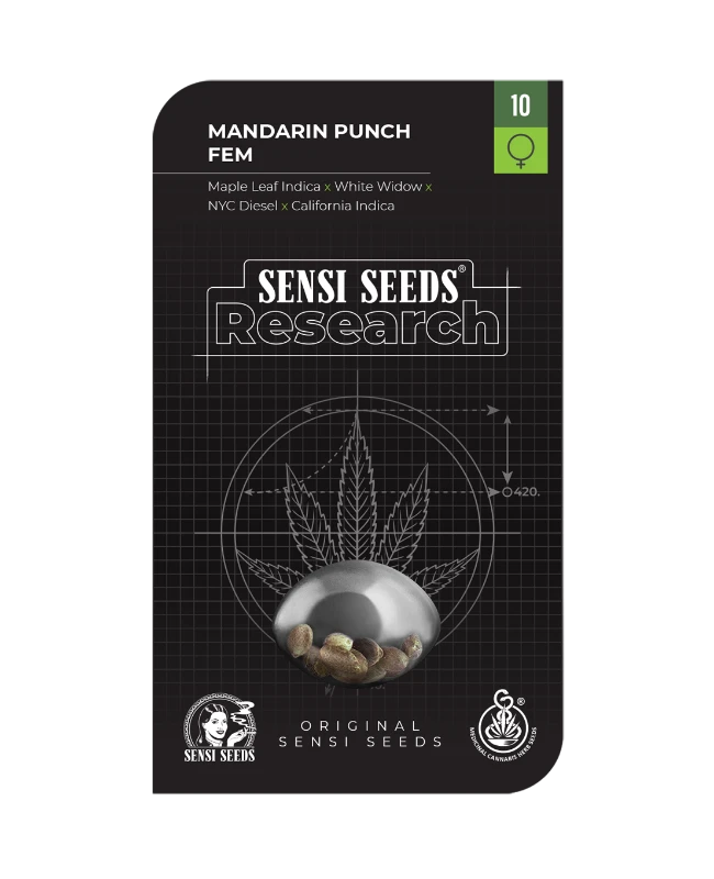 Mandarin Punch Feminized (Research) – Produktbild des Herstellers