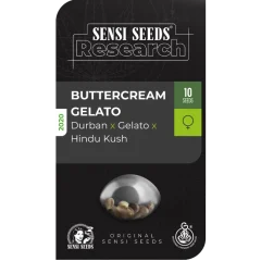 Buttercream Gelato Feminized (Research) – Samen und Produktdetail