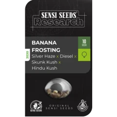 Banana Frosting Feminized (Research) – Samen und Produktdetail