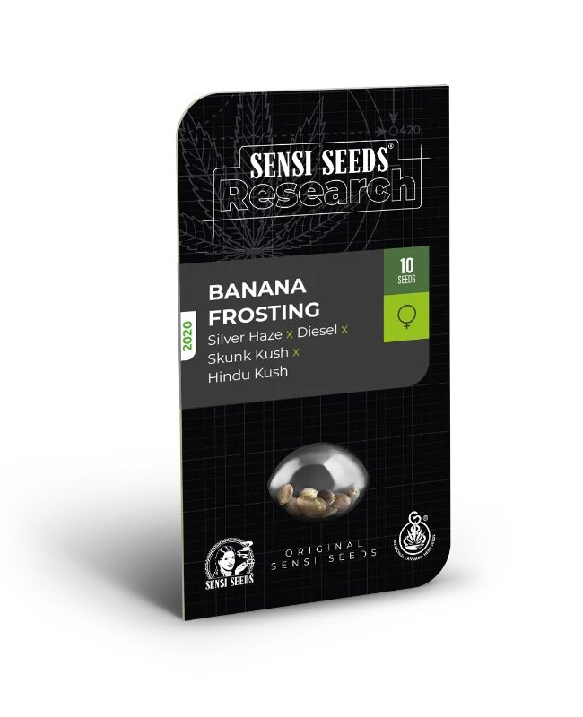 Banana Frosting Feminized (Research) – Produktbild des Herstellers