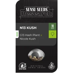 N13 Kush Feminized (Research) – Samen und Produktdetail