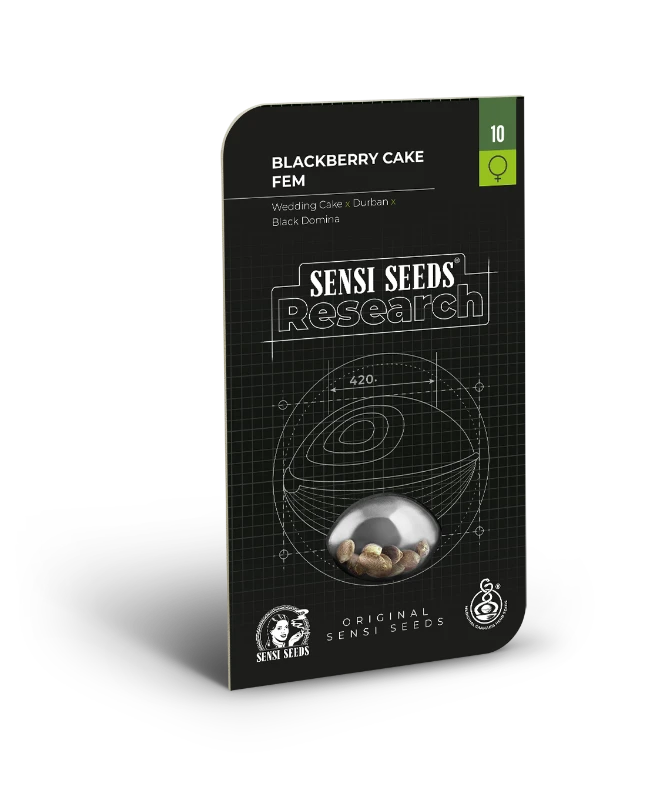 Blackberry Cake Feminized (Research) – Produktbild des Herstellers