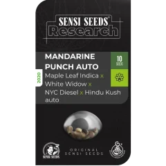 Mandarin Punch Automatic (Research) – Samen und Produktdetail
