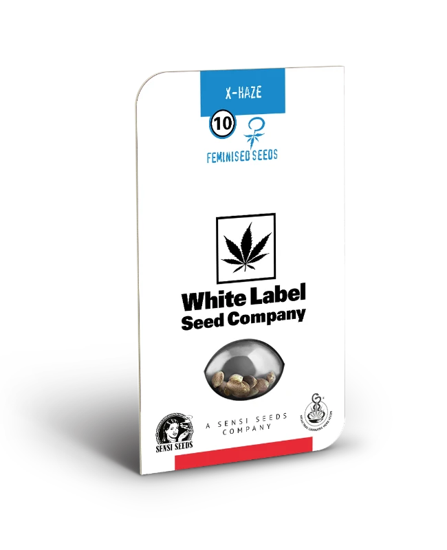 X Haze Feminized (White Label) – Produktbild des Herstellers