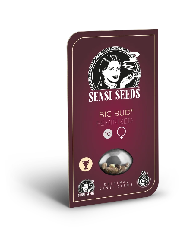 Big Bud Feminized (Sensi Seeds) – Produktbild des Herstellers