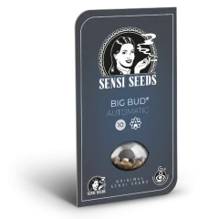 Big Bud Automatic (Sensi Seeds) – Herstellerverpackung