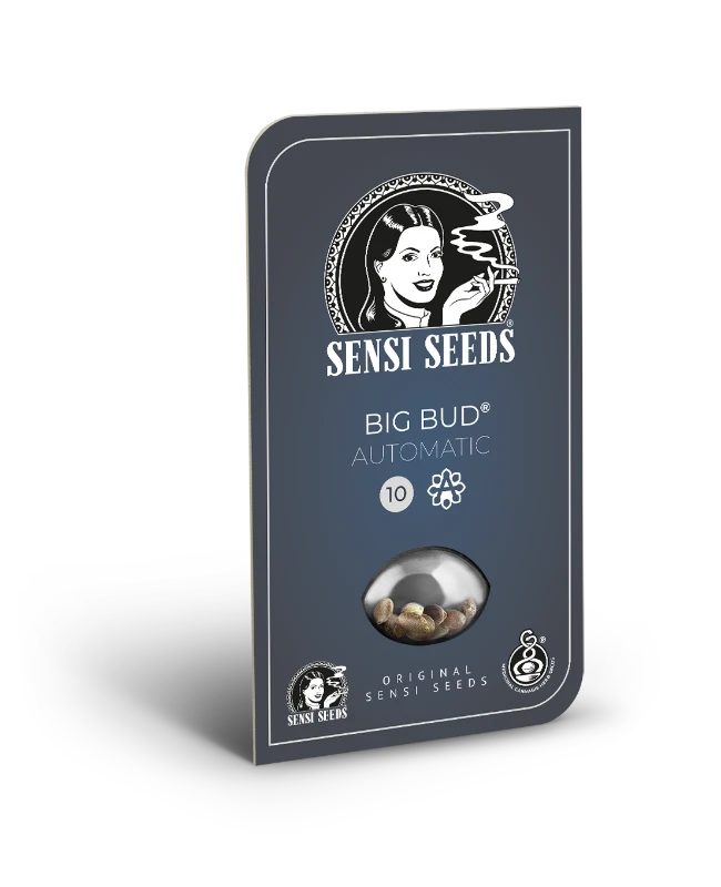 Big Bud Automatic (Sensi Seeds) – Produktbild des Herstellers