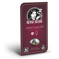 Jack Flash #5 Feminized (Sensi Seeds) – Herstellerverpackung