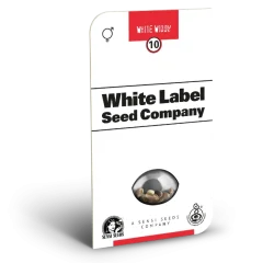 White Widow Regular (White Label) – Herstellerverpackung