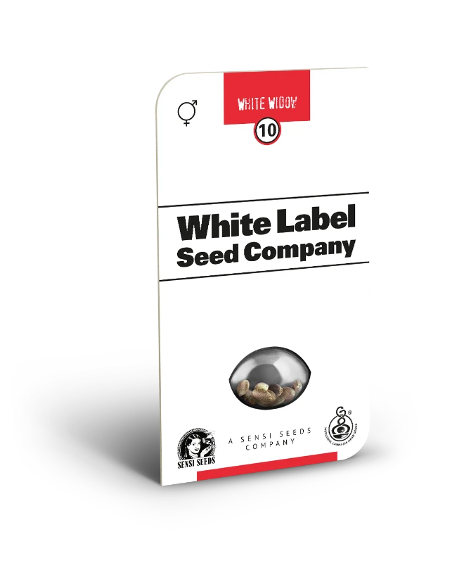 White Widow Regular (White Label) – Produktbild des Herstellers