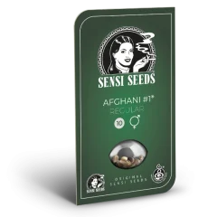 Afghani #1 Regular (Sensi Seeds) – Herstellerverpackung