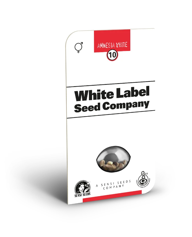 Amnesia White Regular (White Label) – Produktbild des Herstellers