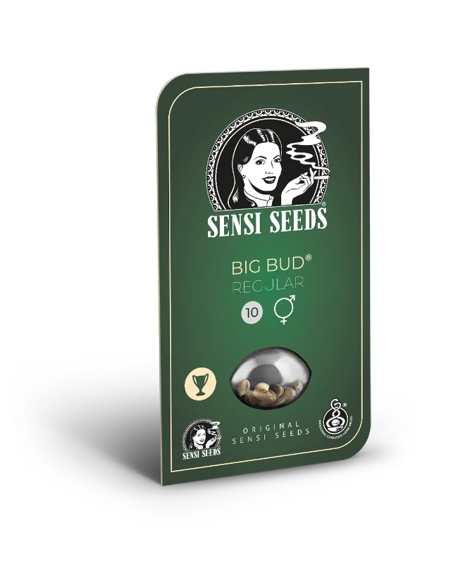 Big Bud Regular (Sensi Seeds) – Produktbild des Herstellers