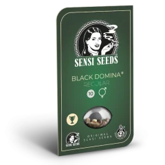 Black Domina Regular (Sensi Seeds) – Herstellerverpackung