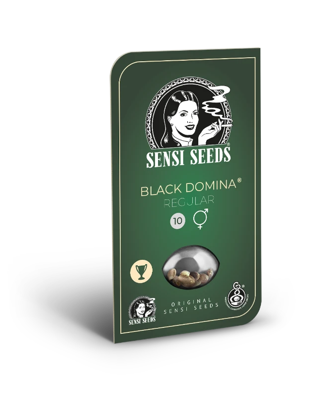 Black Domina Regular (Sensi Seeds) – Produktbild des Herstellers