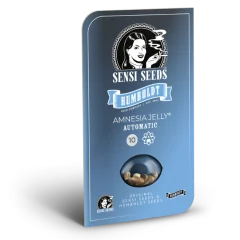 Amnesia Jelly Automatic (Sensi Seeds) – Herstellerverpackung