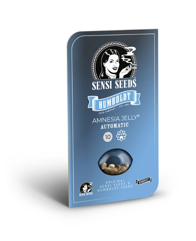 Amnesia Jelly Automatic (Sensi Seeds) – Produktbild des Herstellers