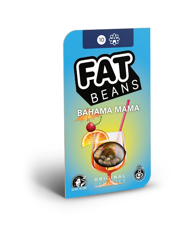 Bahama Mama Automatic (Fat Beans) – Produktbild des Herstellers