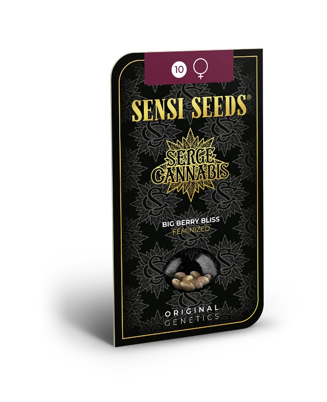 Big Berry Bliss Feminized (Sensi Seeds) – Produktbild des Herstellers