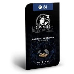 Blueberry Bubblegum Automatic (Sensi Seeds) – Herstellerverpackung