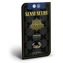 Citrus Fuel Automatic (Sensi Seeds) – Herstellerverpackung