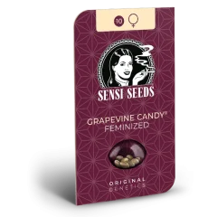 Grapevine Candy Feminized (Sensi Seeds) – Herstellerverpackung