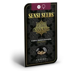 Purple Papaya Paradise Feminized (Sensi Seeds) – Herstellerverpackung