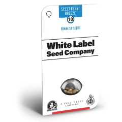 Sweet Berry Breeze Feminized (Sensi Seeds) – Herstellerverpackung