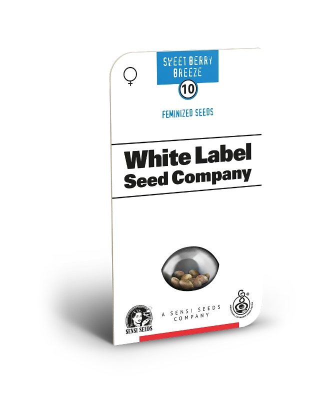 Sweet Berry Breeze Feminized (White Label) – Produktbild des Herstellers