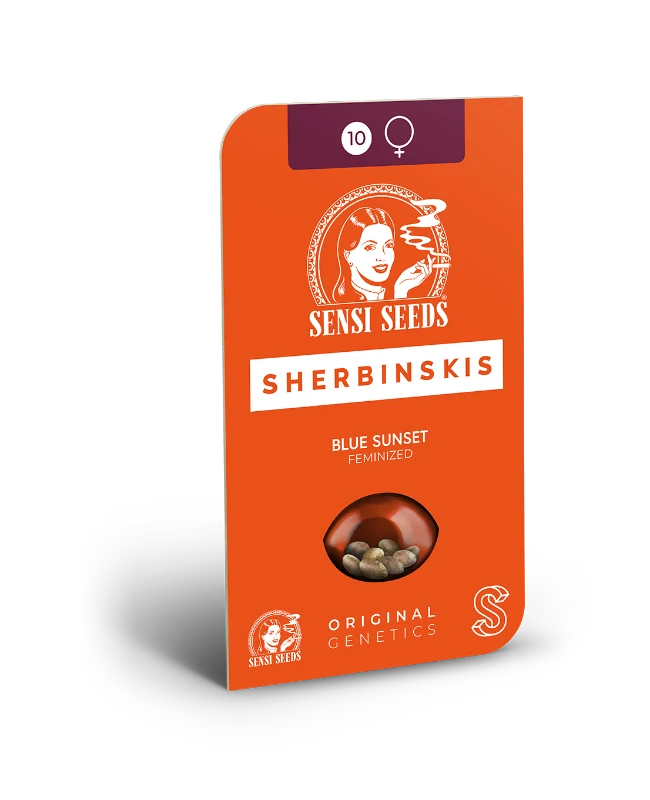 Blue Sunset Feminized (Sensi Seeds) – Produktbild des Herstellers