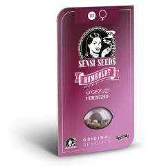 O’Gezuz Feminized (Sensi Seeds) – Herstellerverpackung