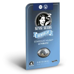 Stardust Kush Automatic (Sensi Seeds) – Herstellerverpackung