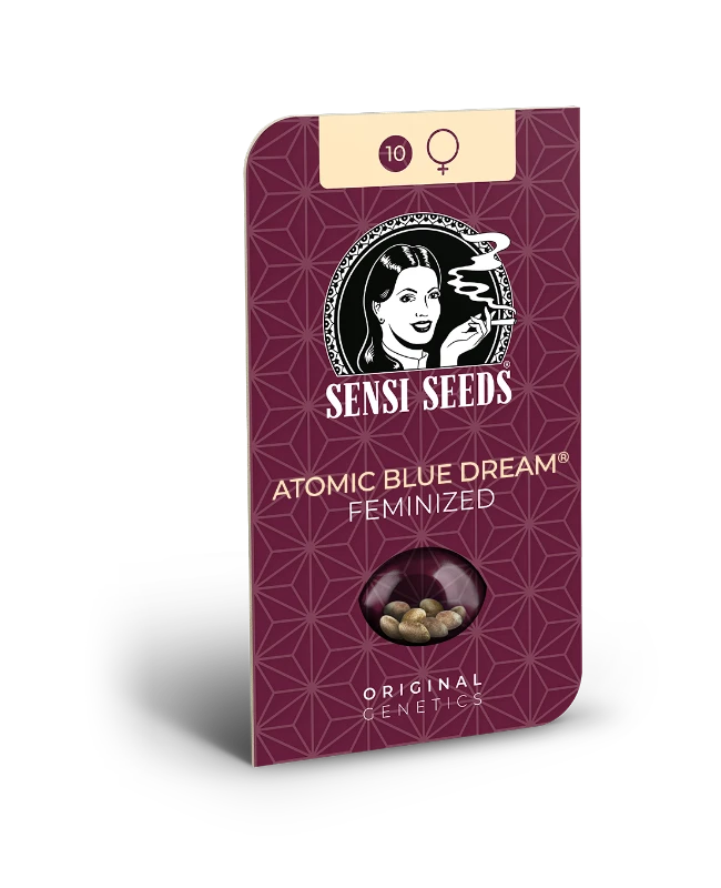 Atomic Blue Dream Feminized (Sensi Seeds) – Produktbild des Herstellers