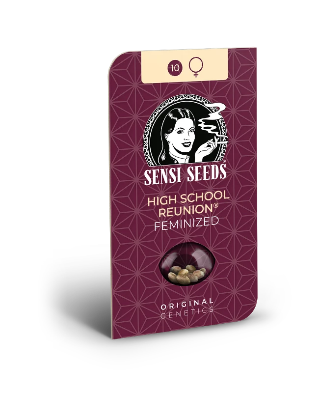 High School Reunion Feminized (Sensi Seeds) – Produktbild des Herstellers