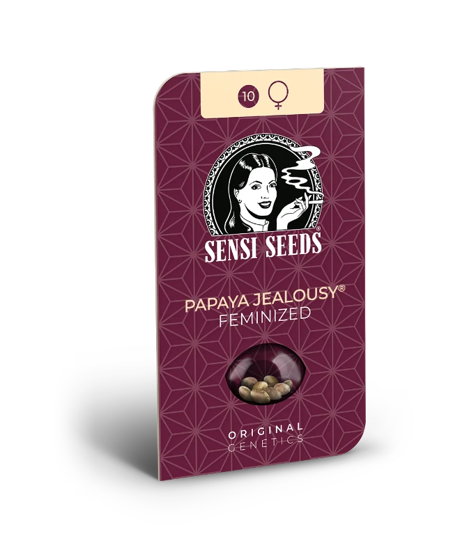 Papaya Jealousy Feminized (Sensi Seeds) – Produktbild des Herstellers