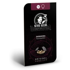 Dosimosa Feminized (Sensi Seeds) – Herstellerverpackung