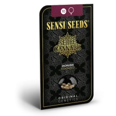Jackuzzi Feminized (Sensi Seeds) – Herstellerverpackung
