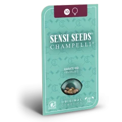 Karate Kid Feminized (Sensi Seeds) – Herstellerverpackung