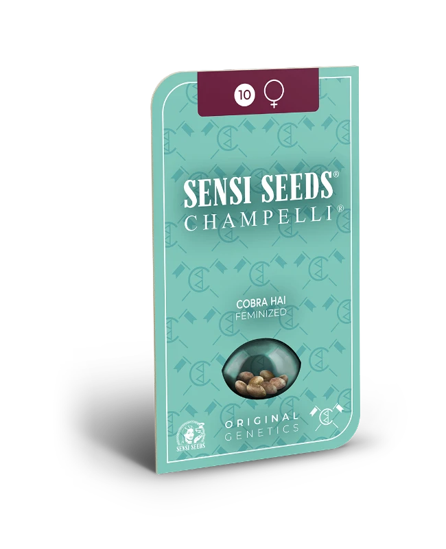 Cobra Hai Feminized (Sensi Seeds) – Produktbild des Herstellers
