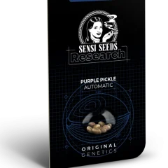 Purple Pickle Automatic (Sensi Seeds) – Herstellerverpackung