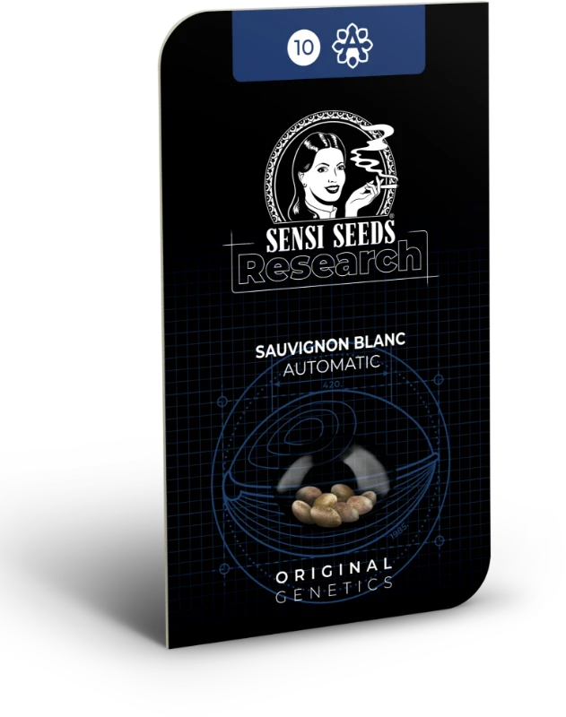 Sauvignon Blanc Automatic (Sensi Seeds) – Produktbild des Herstellers